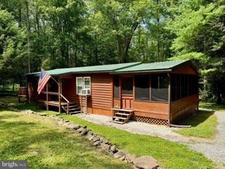 151 Bald Eagle Forest Road, Blanchard, PA 16826 - #: PACE2511272