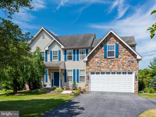 1205 S Rapps Dam Road, Phoenixville, PA 19460 - #: PACT2063788