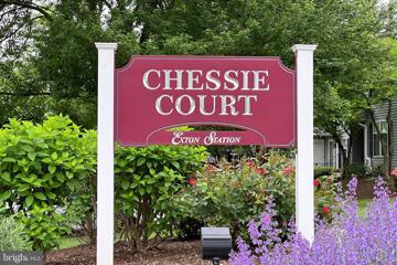 736 Chessie Court, West Chester, PA 19380 - #: PACT2066340