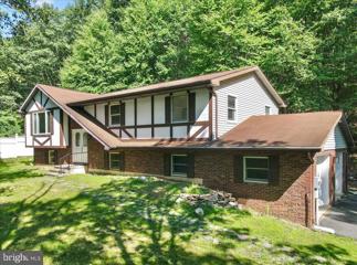 888 Lower Mountain Drive, Effort, PA 18330 - #: PAMR2003650