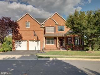 43289 Barnstead Drive, Ashburn, VA 20148 - MLS#: VALO2077980