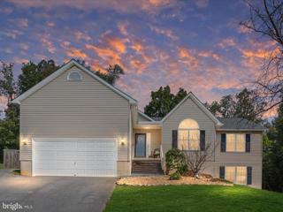 141 Black Oak Drive, Maurertown, VA 22644 - MLS#: VASH2009478