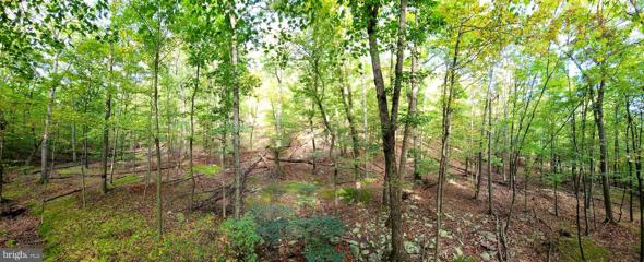 1359 Lodge Road, Hedgesville, WV 25427 - MLS#: WVBE2032908