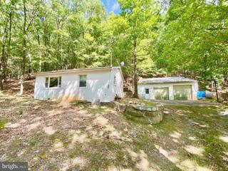 610 Chili Road, Cabins, WV 26855 - #: WVGT2000952