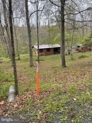 462 Trout Stream Road, Lost City, WV 26810 - MLS#: WVHD2002074