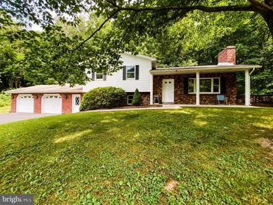 19505 Buskirk Hollow Road, Midland, MD 21542 - #: MDAL2003364