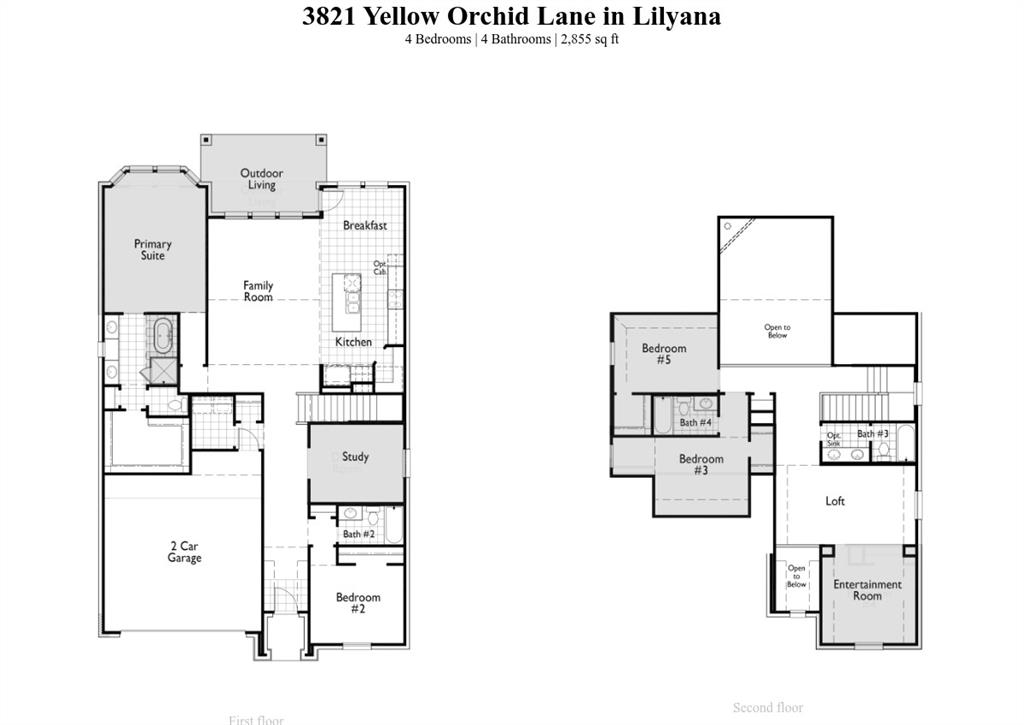 3821  Yellow Orchid Lane, Prosper